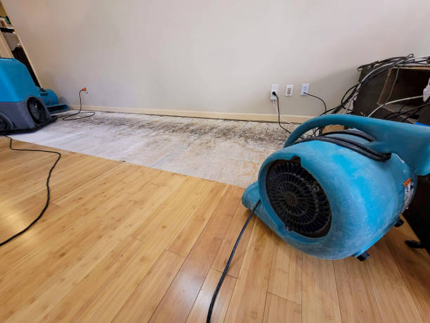 Professional Flood Damage Cleanup technician working in Lincolndale, NY